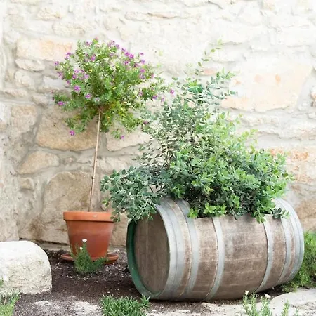 Appartamento Amy Oporto